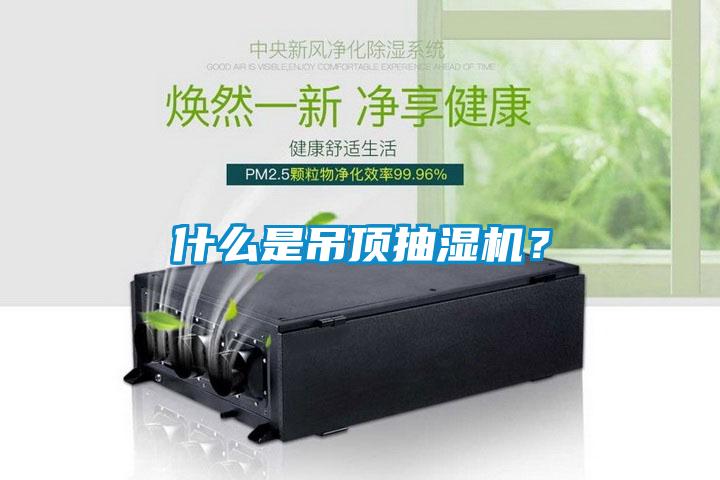 什么是吊頂抽濕機？