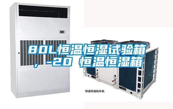 80L恒溫恒濕試驗箱，-20℃恒溫恒濕箱