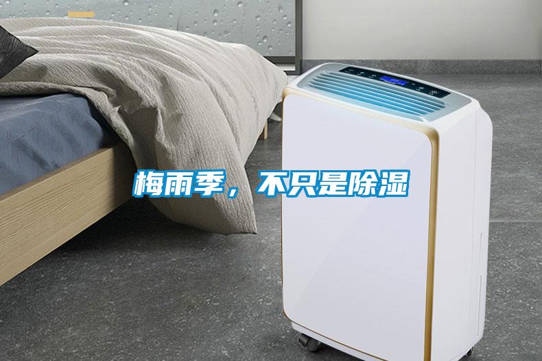 梅雨季，不只是除濕