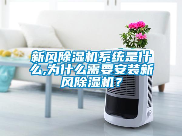 新風(fēng)除濕機系統(tǒng)是什么,為什么需要安裝新風(fēng)除濕機？