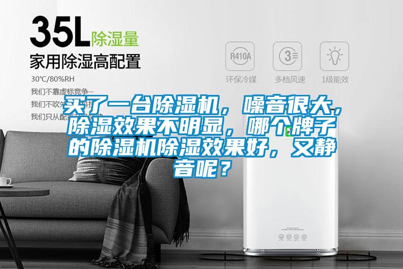 買了一臺除濕機，噪音很大，除濕效果不明顯，哪個牌子的除濕機除濕效果好，又靜音呢？
