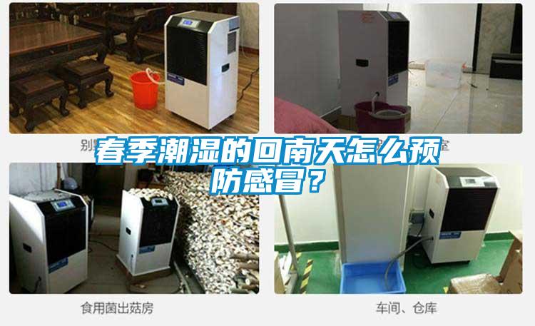 春季潮濕的回南天怎么預(yù)防感冒？