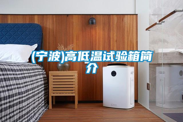 (寧波)高低溫試驗(yàn)箱簡(jiǎn)介