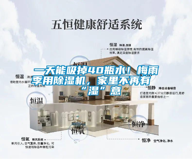 一天能吸掉40瓶水！梅雨季用除濕機(jī)，家里不再有“濕”意