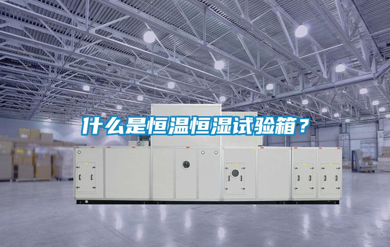 什么是恒溫恒濕試驗(yàn)箱？