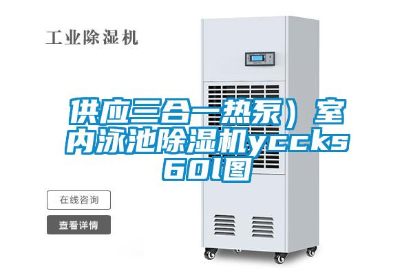 供應三合一熱泵）室內(nèi)泳池除濕機yccks60l圖
