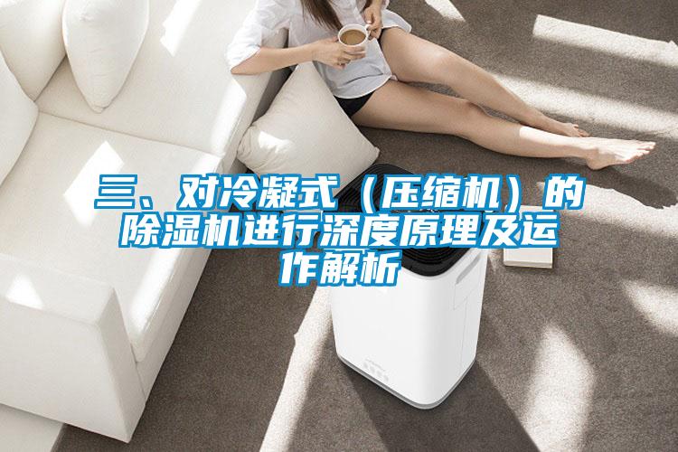 三、對冷凝式（壓縮機(jī)）的除濕機(jī)進(jìn)行深度原理及運(yùn)作解析