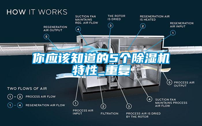 你應(yīng)該知道的5個(gè)除濕機(jī)特性_重復(fù)