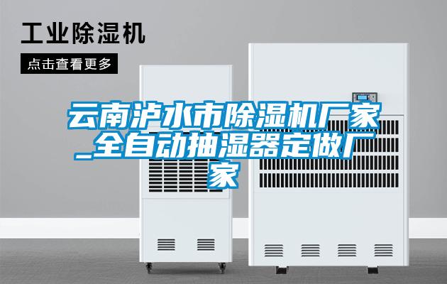 云南瀘水市除濕機(jī)廠家_全自動抽濕器定做廠家