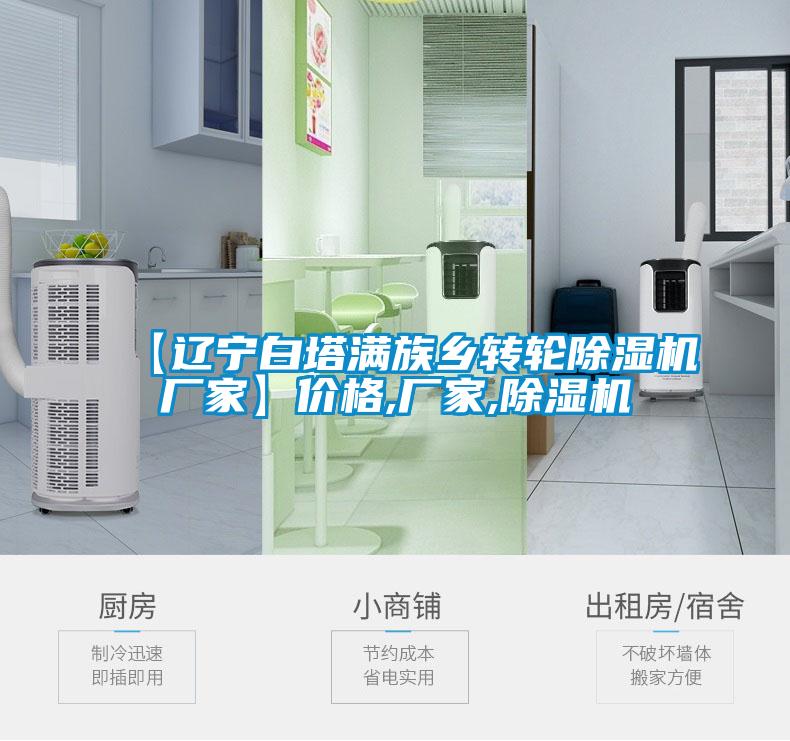 【遼寧白塔滿族鄉(xiāng)轉(zhuǎn)輪除濕機廠家】價格,廠家,除濕機