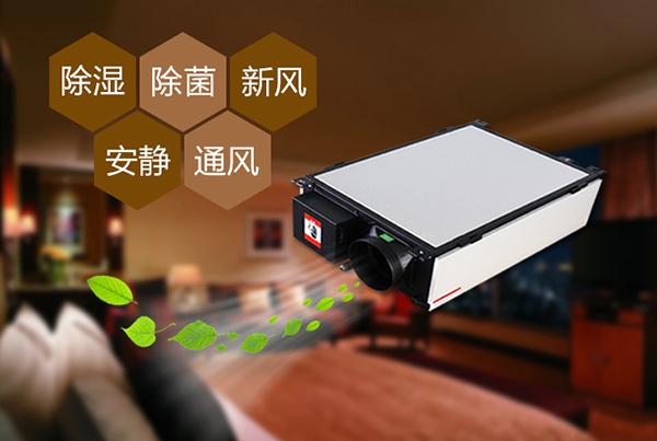 出梅？再等等，在家該如何防潮除濕？