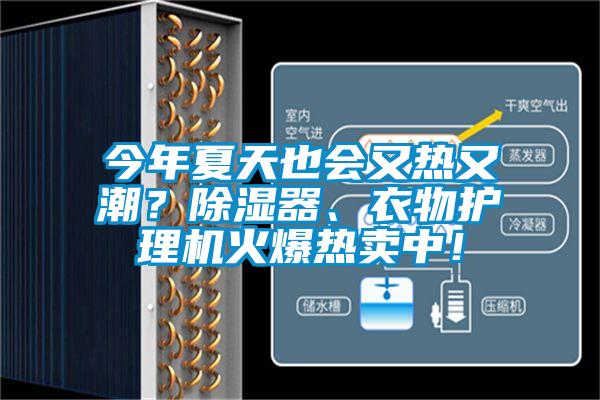 今年夏天也會(huì)又熱又潮？除濕器、衣物護(hù)理機(jī)火爆熱賣(mài)中！