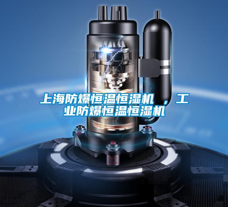 上海防爆恒溫恒濕機 ，工業(yè)防爆恒溫恒濕機