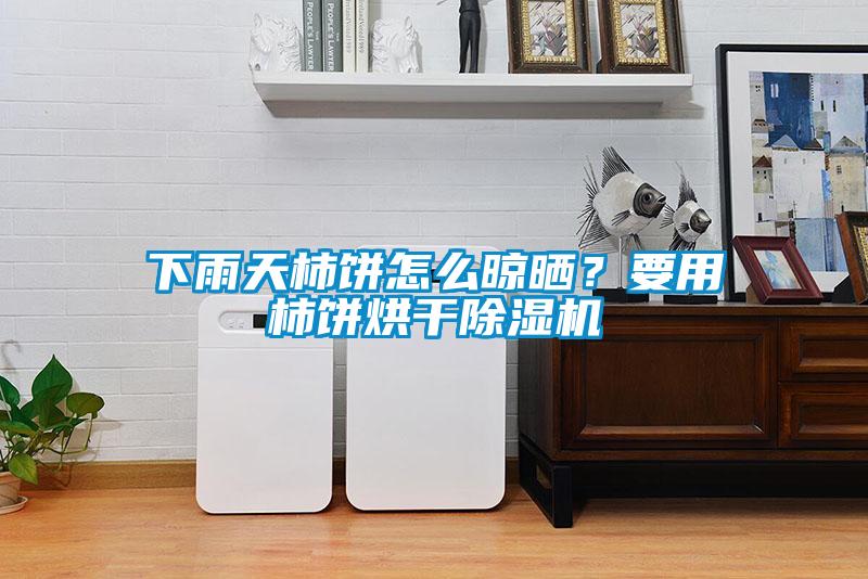 下雨天柿餅怎么晾曬？要用柿餅烘干除濕機