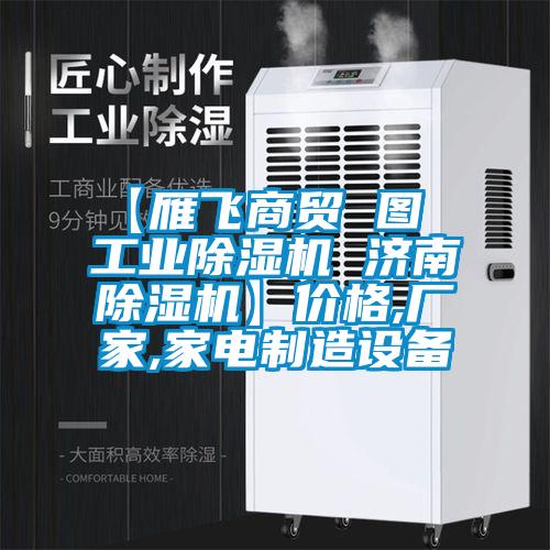 【雁飛商貿(mào) 圖  工業(yè)除濕機 濟南除濕機】價格,廠家,家電制造設(shè)備