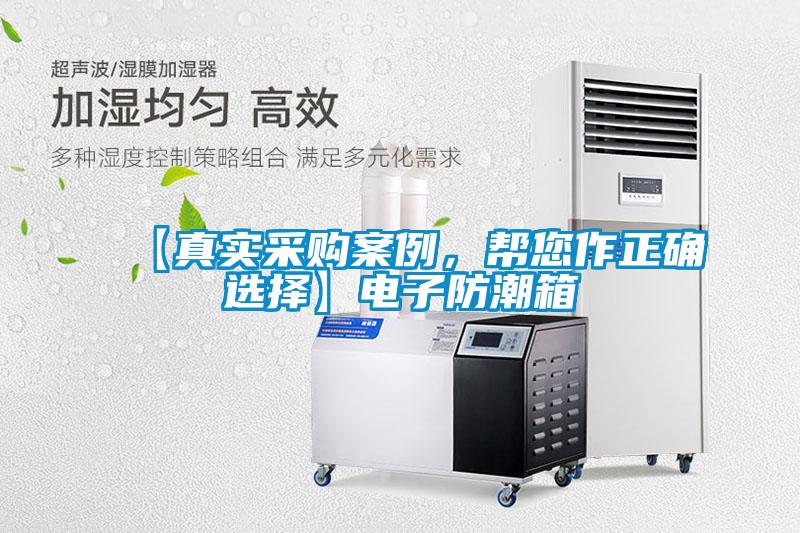 【真實(shí)采購案例，幫您作正確選擇】電子防潮箱