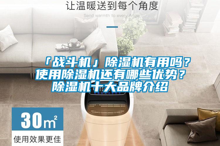 「戰(zhàn)斗機(jī)」除濕機(jī)有用嗎？使用除濕機(jī)還有哪些優(yōu)勢？除濕機(jī)十大品牌介紹
