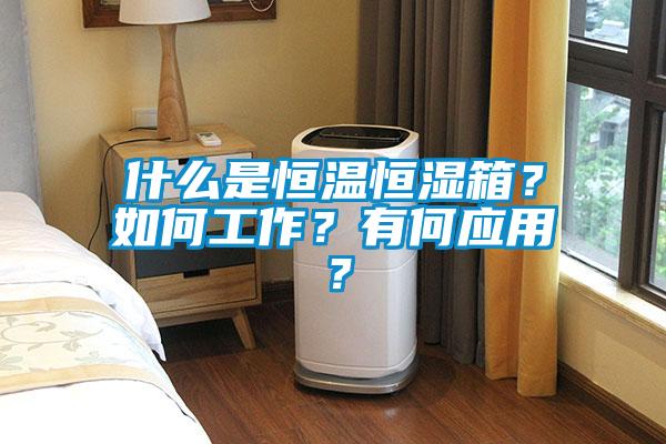 什么是恒溫恒濕箱？如何工作？有何應(yīng)用？