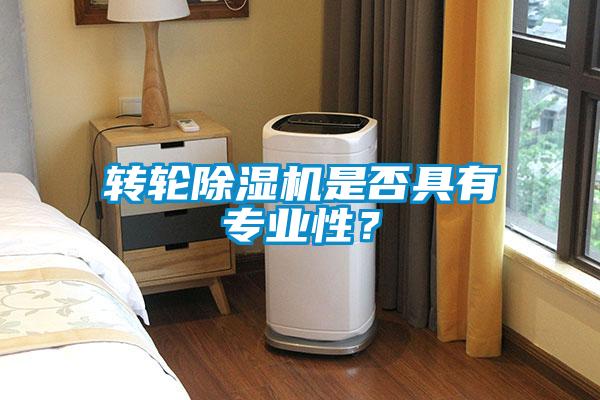 轉(zhuǎn)輪除濕機(jī)是否具有專業(yè)性？
