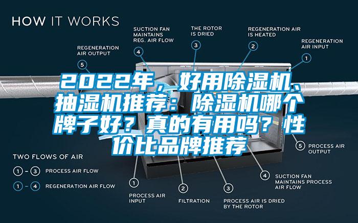 2022年，好用除濕機、抽濕機推薦：除濕機哪個牌子好？真的有用嗎？性價比品牌推薦
