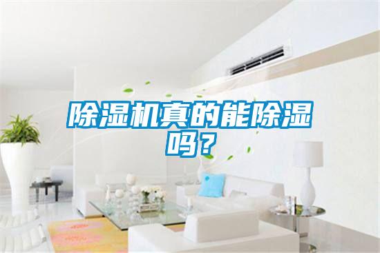 除濕機真的能除濕嗎？