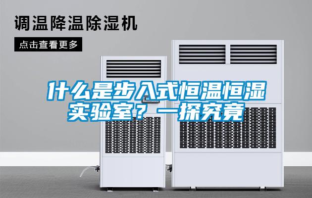 什么是步入式恒溫恒濕實(shí)驗(yàn)室？一探究竟