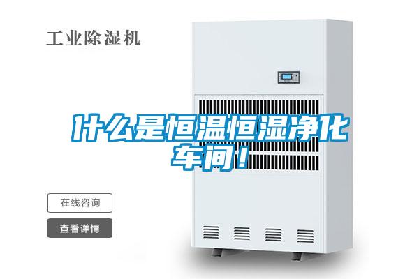 什么是恒溫恒濕凈化車間！