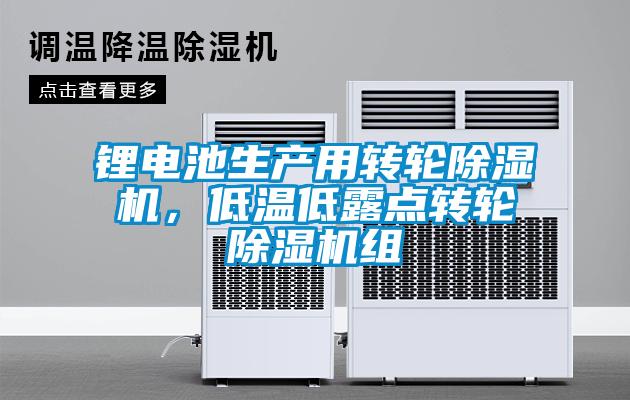 鋰電池生產(chǎn)用轉(zhuǎn)輪除濕機(jī)，低溫低露點(diǎn)轉(zhuǎn)輪除濕機(jī)組