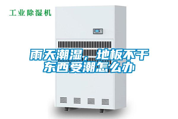 雨天潮濕，地板不干東西受潮怎么辦