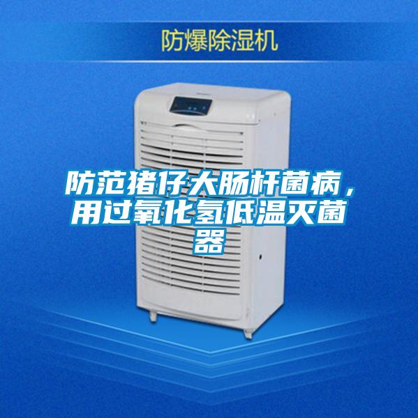 防范豬仔大腸桿菌病，用過氧化氫低溫滅菌器