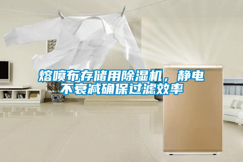 熔噴布存儲(chǔ)用除濕機(jī)，靜電不衰減確保過濾效率