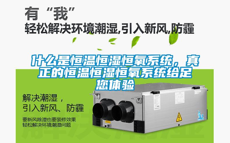 什么是恒溫恒濕恒氧系統(tǒng)，真正的恒溫恒濕恒氧系統(tǒng)給足您體驗(yàn)