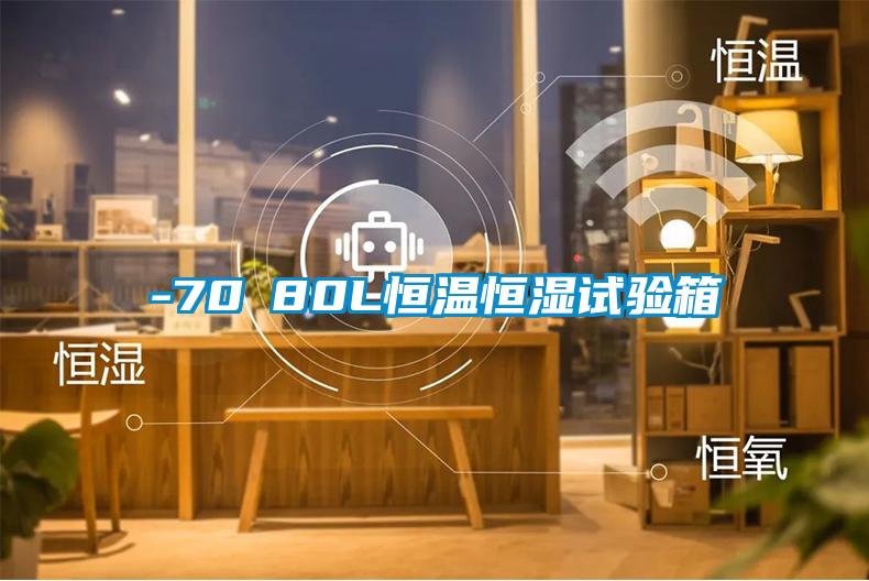 -70℃80L恒溫恒濕試驗(yàn)箱