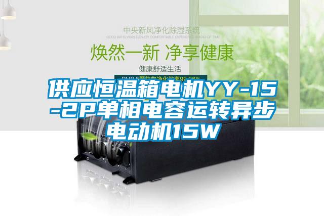 供應(yīng)恒溫箱電機(jī)YY-15-2P單相電容運(yùn)轉(zhuǎn)異步電動機(jī)15W