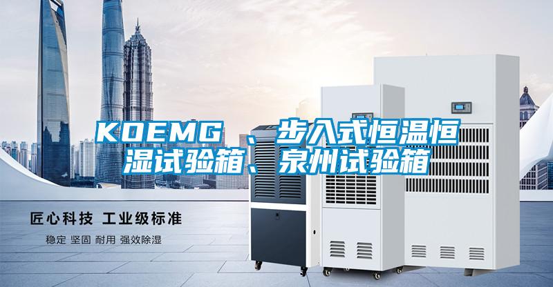 KOEMG 、步入式恒溫恒濕試驗箱、泉州試驗箱