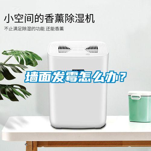 墻面發(fā)霉怎么辦？