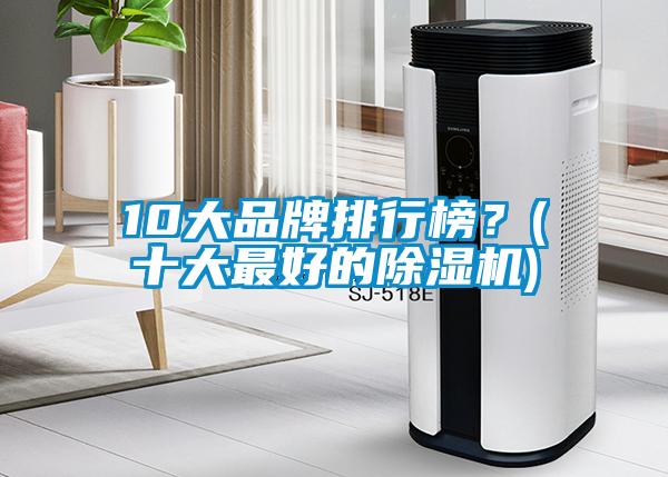10大品牌排行榜？(十大最好的除濕機(jī))