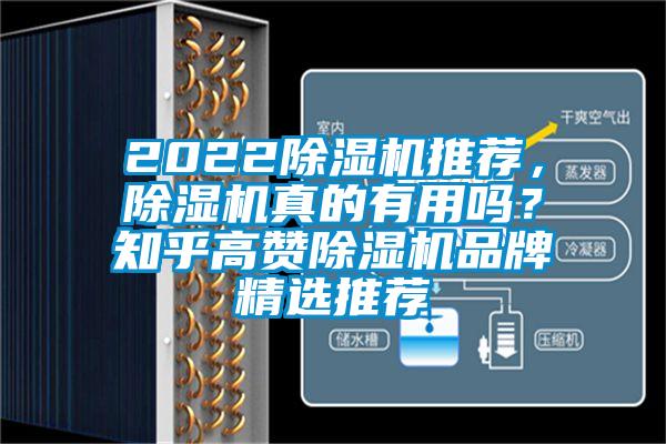 2022除濕機推薦，除濕機真的有用嗎？知乎高贊除濕機品牌精選推薦