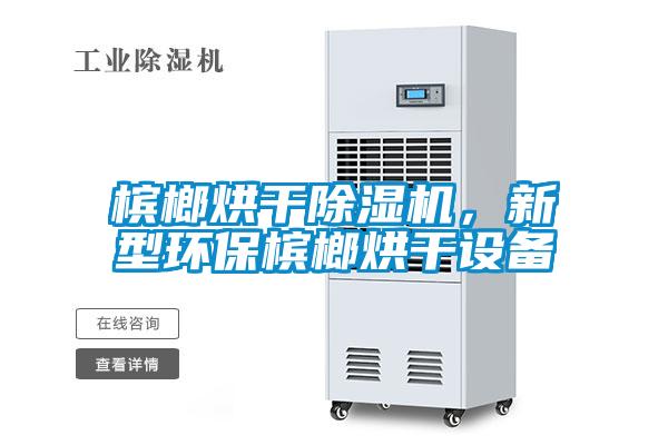 檳榔烘干除濕機，新型環(huán)保檳榔烘干設(shè)備