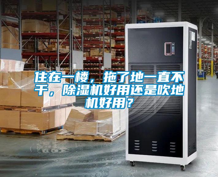 住在一樓，拖了地一直不干，除濕機(jī)好用還是吹地機(jī)好用？
