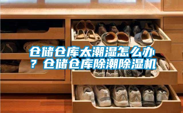 倉(cāng)儲(chǔ)倉(cāng)庫(kù)太潮濕怎么辦？倉(cāng)儲(chǔ)倉(cāng)庫(kù)除潮除濕機(jī)