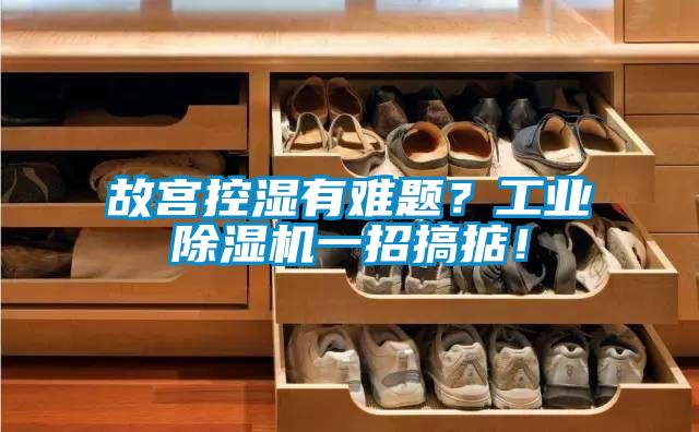 故宮控濕有難題？工業(yè)除濕機(jī)一招搞掂！