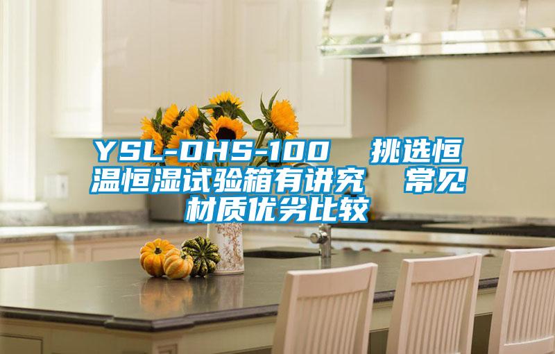 YSL-DHS-100  挑選恒溫恒濕試驗箱有講究  常見材質優(yōu)劣比較