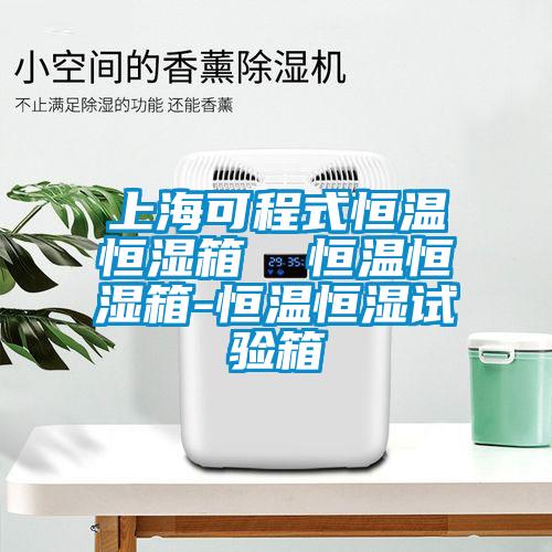 上?？沙淌胶銣睾銤裣? 恒溫恒濕箱-恒溫恒濕試驗(yàn)箱