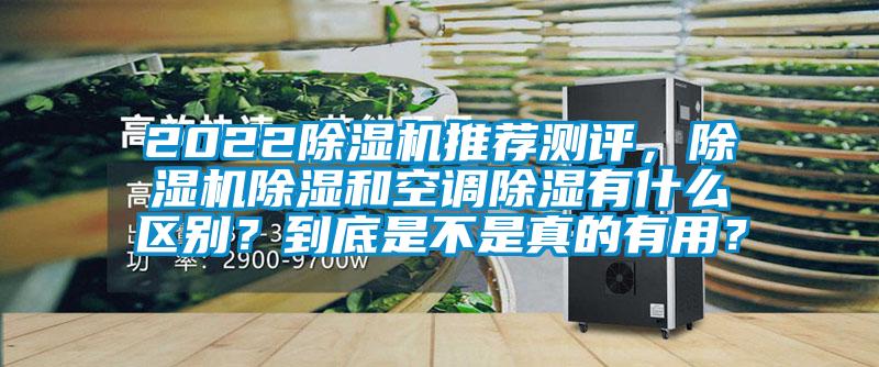 2022除濕機推薦測評，除濕機除濕和空調(diào)除濕有什么區(qū)別？到底是不是真的有用？