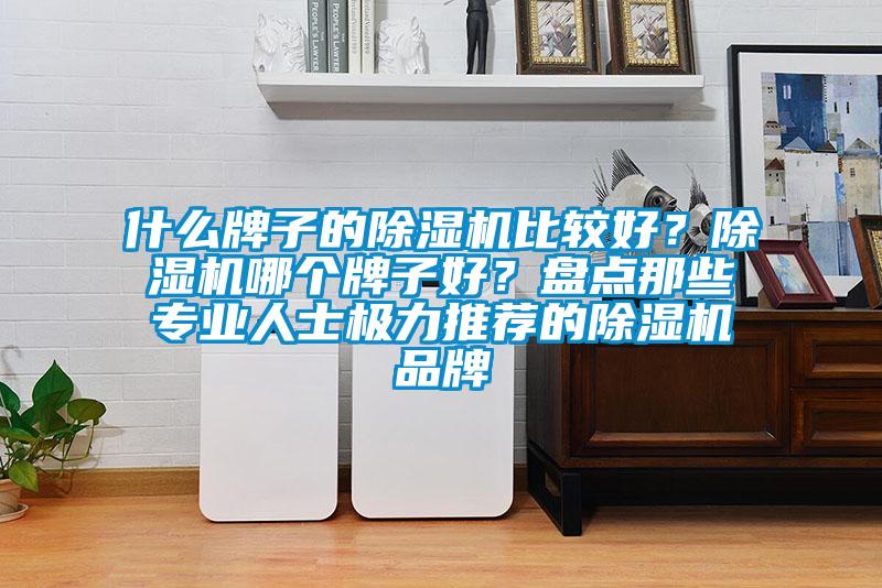 什么牌子的除濕機比較好？除濕機哪個牌子好？盤點那些專業(yè)人士極力推薦的除濕機品牌