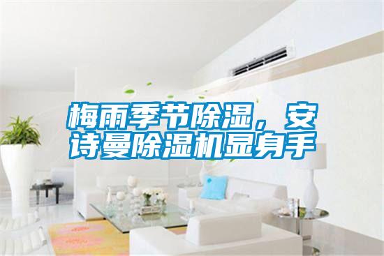 梅雨季節(jié)除濕，安詩曼除濕機(jī)顯身手