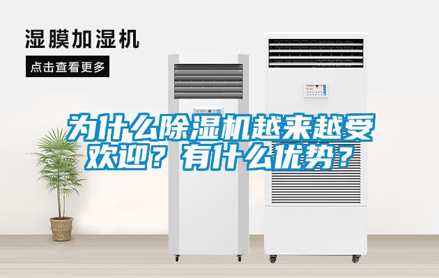 為什么除濕機(jī)越來越受歡迎？有什么優(yōu)勢？