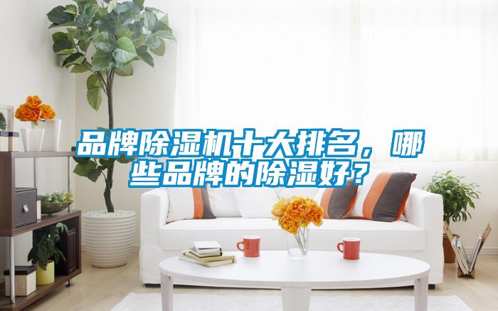 品牌除濕機(jī)十大排名，哪些品牌的除濕好？