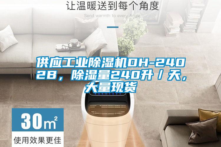 供應工業(yè)除濕機DH-2402B，除濕量240升／天，大量現貨